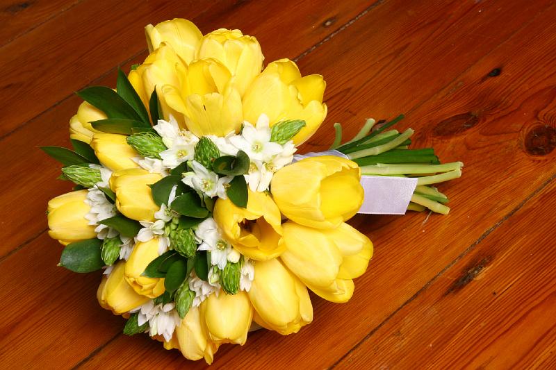 16May'09 0234.JPG